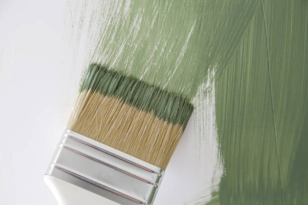 Mold Remediation for Vacation Homes in Graceville, FL