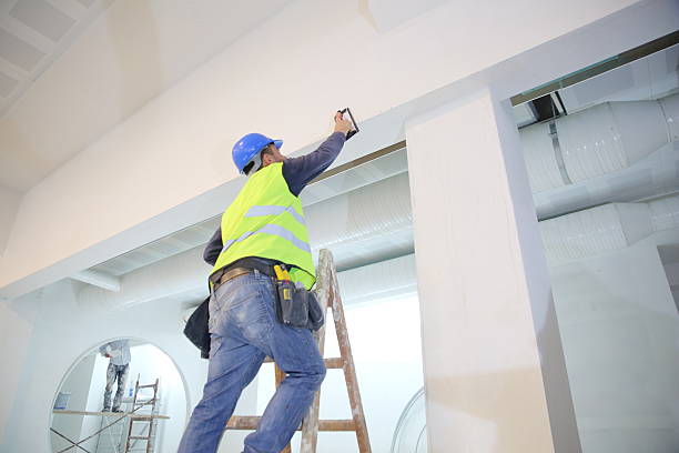 Best Emergency Mold Remediation  in Graceville, FL