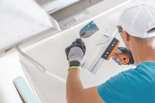 Best Attic Mold Removal  in Graceville, FL